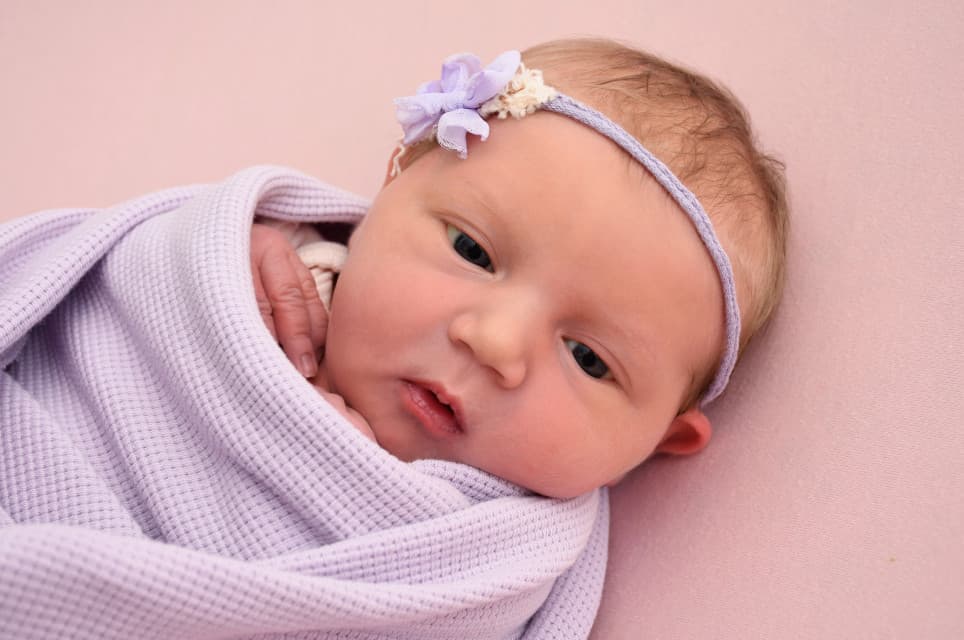 Amalia Lotta